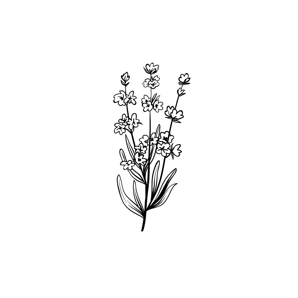 Cuteful-flowers - Image 2