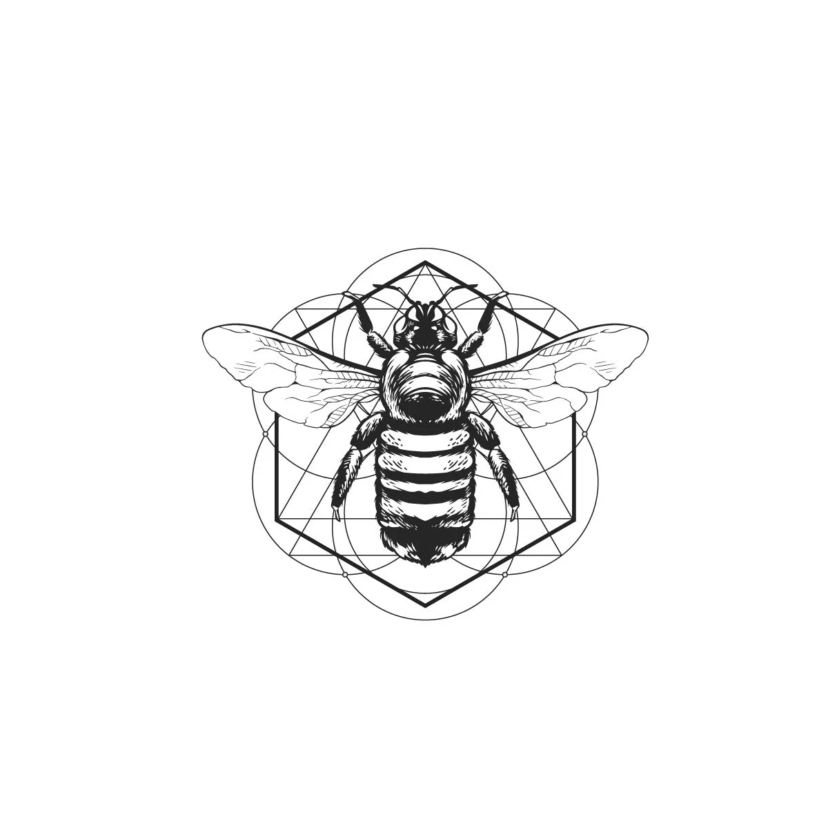Bee'ast - Image 2
