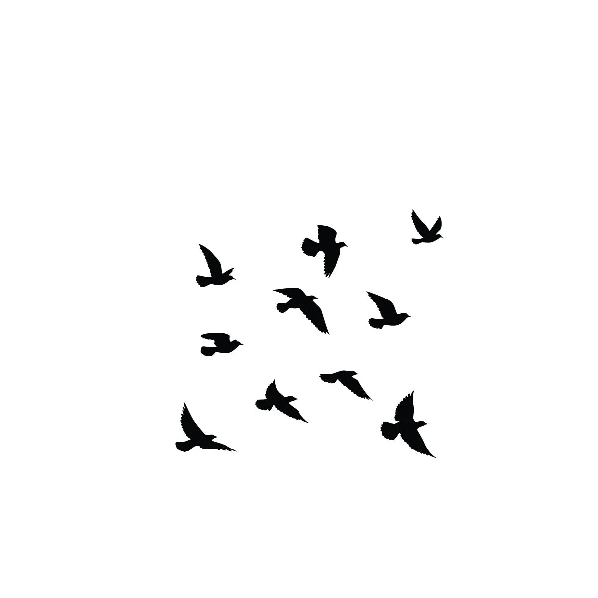 Flock of birds - Image 2