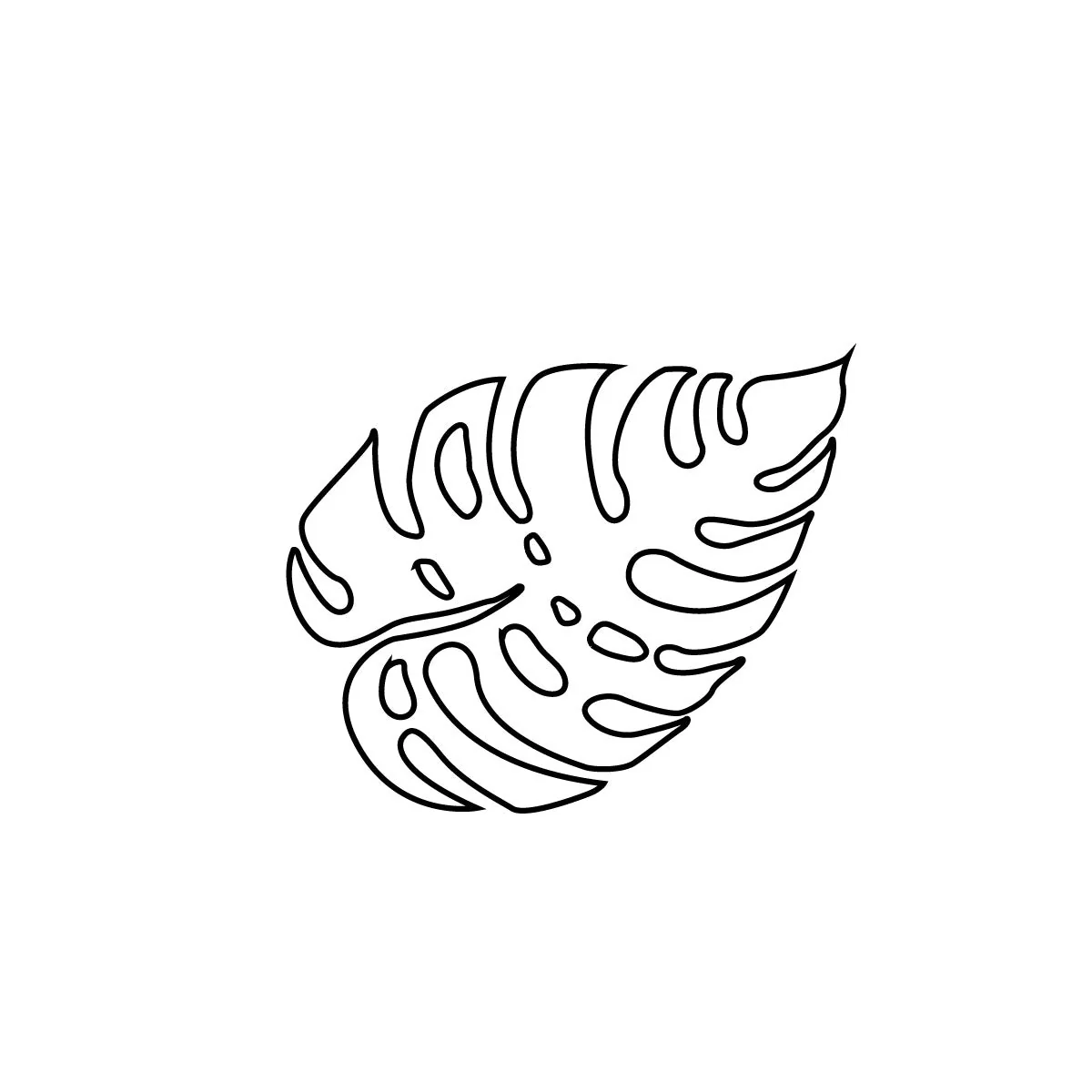 Monstera plant leaf - Image 2
