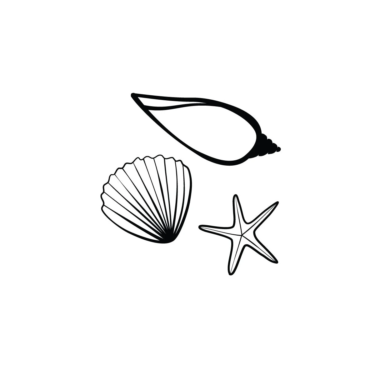 Seashells - Image 2