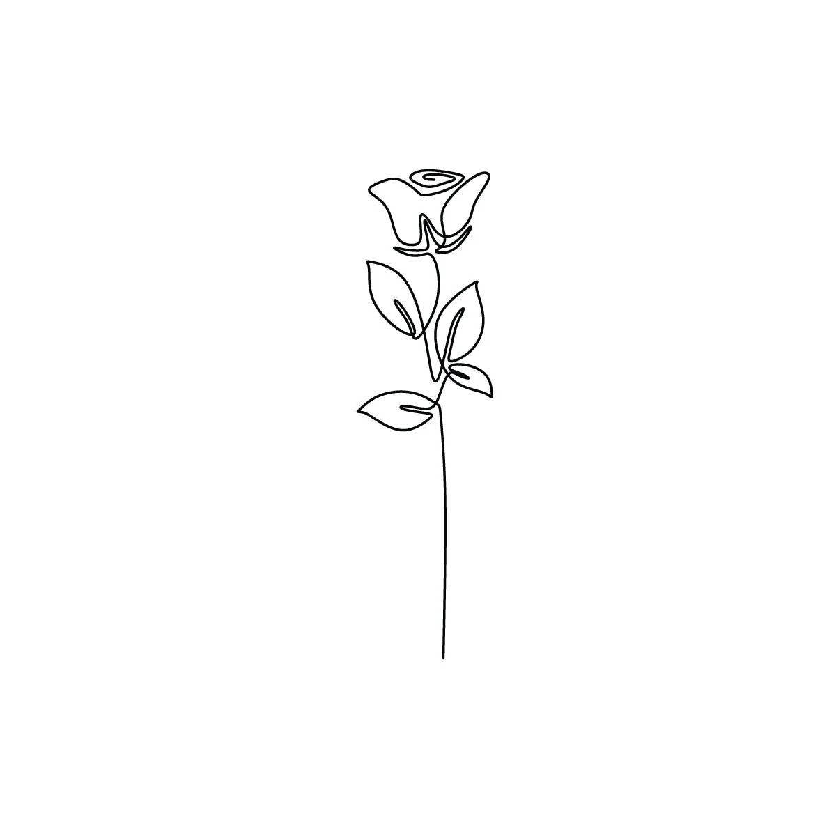 Ray of beauty rose - Image 2