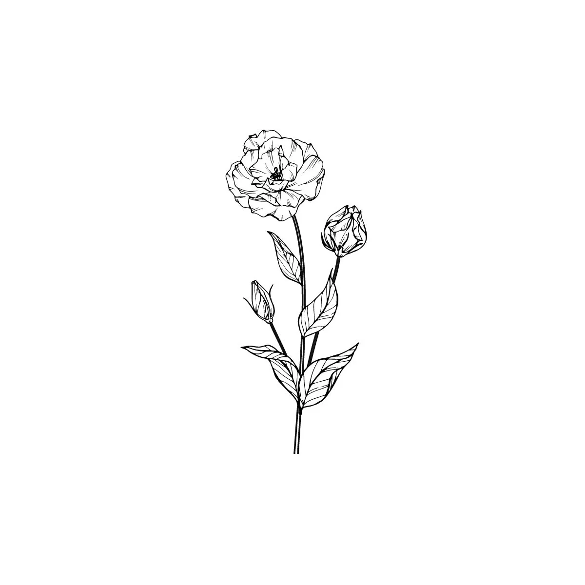 Single rose - Image 2