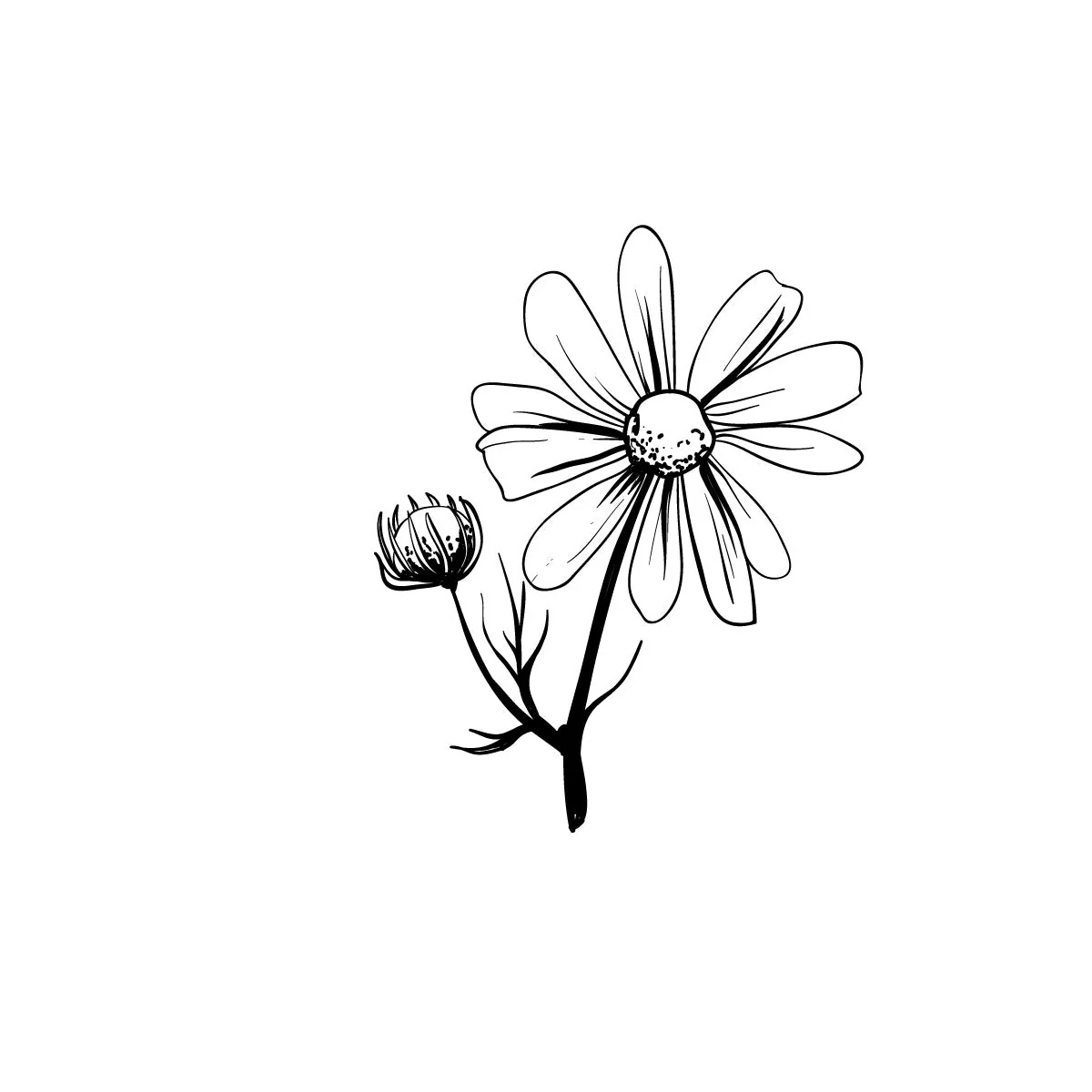 Smell the rose - Image 2