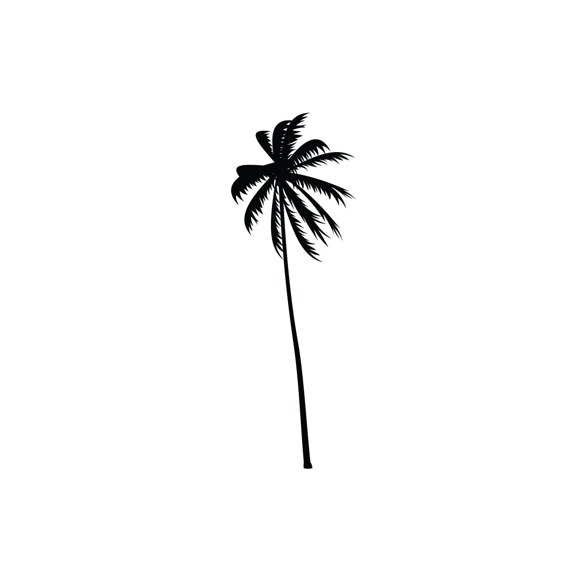 Palm tree - Image 2